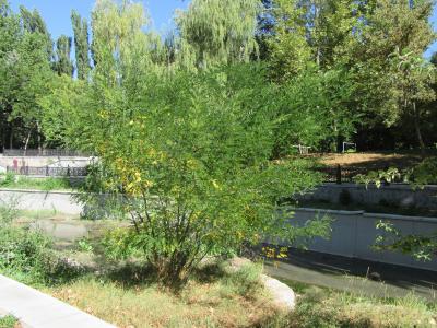 Прикрепленное изображение: 118645611_3145883808866815_4559652545341762988_o.jpg